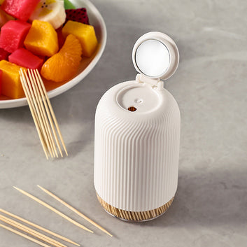 Creative Toothpick Dispenser with Mirror